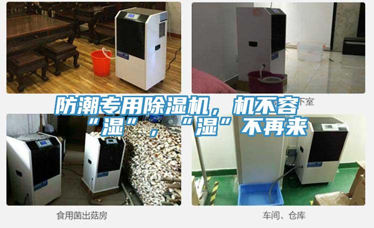 防潮專用除濕機，機不容“濕”，“濕”不再來