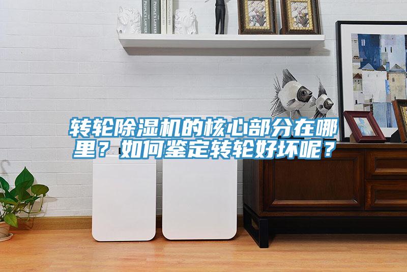 轉(zhuǎn)輪除濕機(jī)的核心部分在哪里？如何鑒定轉(zhuǎn)輪好壞呢？