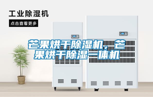 芒果烘干除濕機(jī)，芒果烘干除濕一體機(jī)