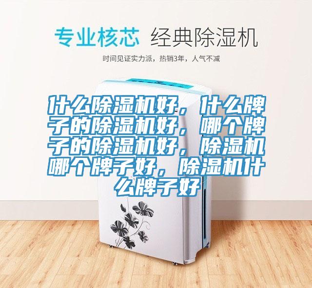 什么除濕機(jī)好，什么牌子的除濕機(jī)好，哪個(gè)牌子的除濕機(jī)好，除濕機(jī)哪個(gè)牌子好，除濕機(jī)什么牌子好