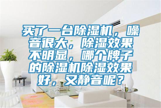 買了一臺除濕機，噪音很大，除濕效果不明顯，哪個牌子的除濕機除濕效果好，又靜音呢？