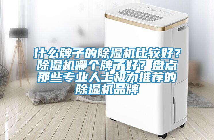 什么牌子的除濕機比較好？除濕機哪個牌子好？盤點那些專業(yè)人士極力推薦的除濕機品牌