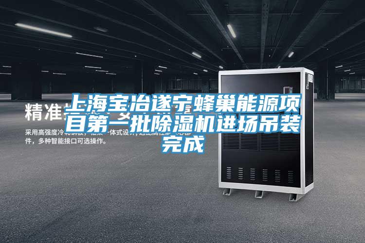 上海寶冶遂寧蜂巢能源項目第一批除濕機進(jìn)場吊裝完成