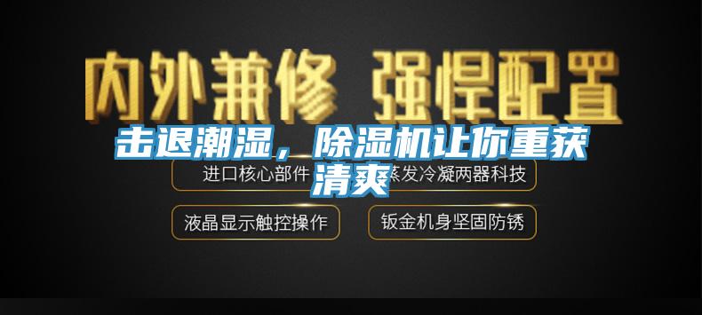 擊退潮濕，除濕機讓你重獲清爽