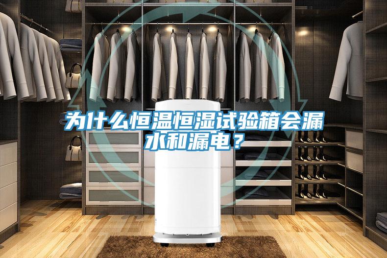 為什么恒溫恒濕試驗箱會漏水和漏電？