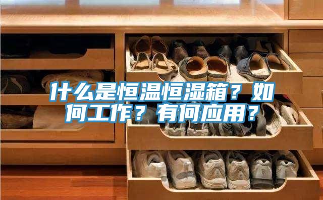 什么是恒溫恒濕箱？如何工作？有何應(yīng)用？