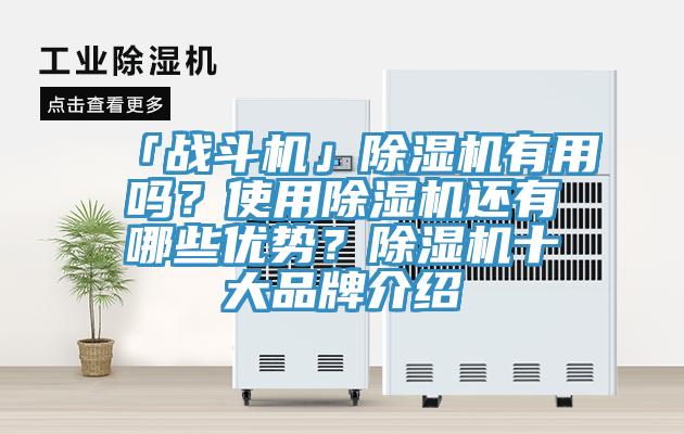 「戰(zhàn)斗機(jī)」除濕機(jī)有用嗎？使用除濕機(jī)還有哪些優(yōu)勢？除濕機(jī)十大品牌介紹