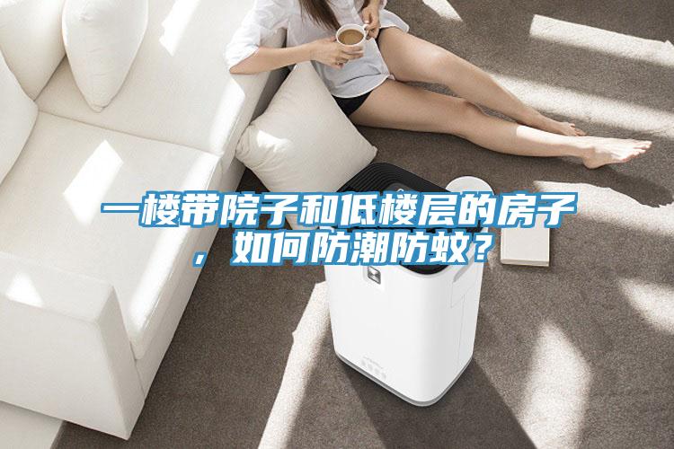 一樓帶院子和低樓層的房子，如何防潮防蚊？