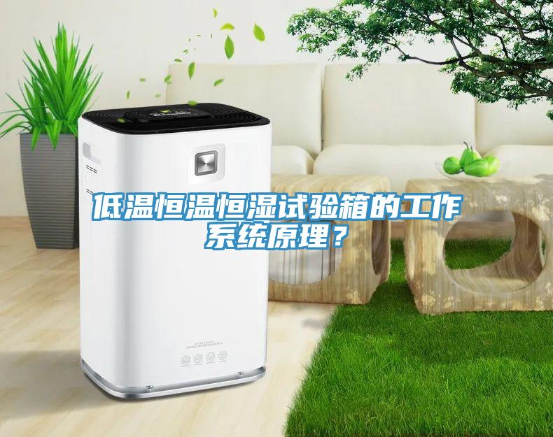 低溫恒溫恒濕試驗(yàn)箱的工作系統(tǒng)原理？