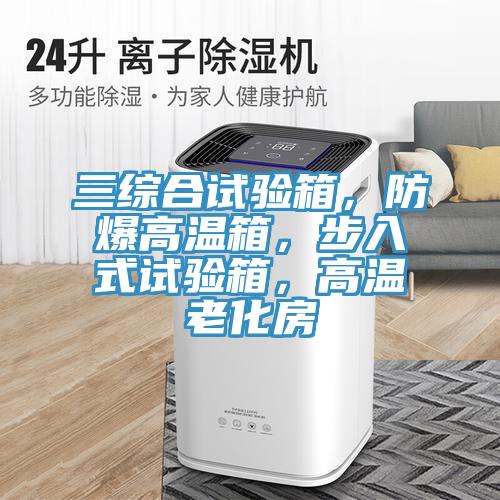 三綜合試驗(yàn)箱，防爆高溫箱，步入式試驗(yàn)箱，高溫老化房