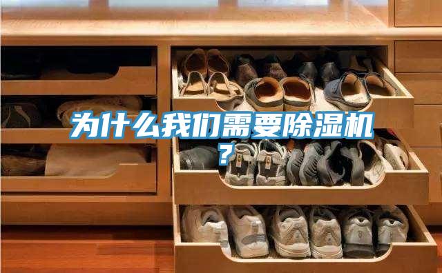 為什么我們需要除濕機？