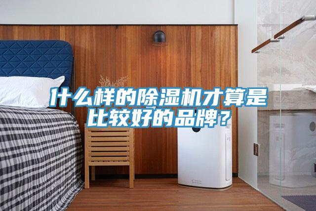 什么樣的除濕機(jī)才算是比較好的品牌？