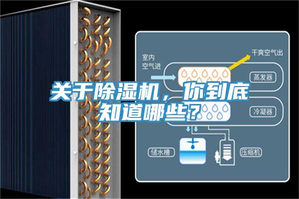關(guān)于除濕機，你到底知道哪些？