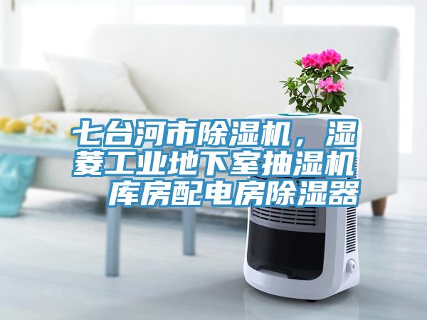 七臺(tái)河市除濕機(jī)，濕菱工業(yè)地下室抽濕機(jī)  庫(kù)房配電房除濕器
