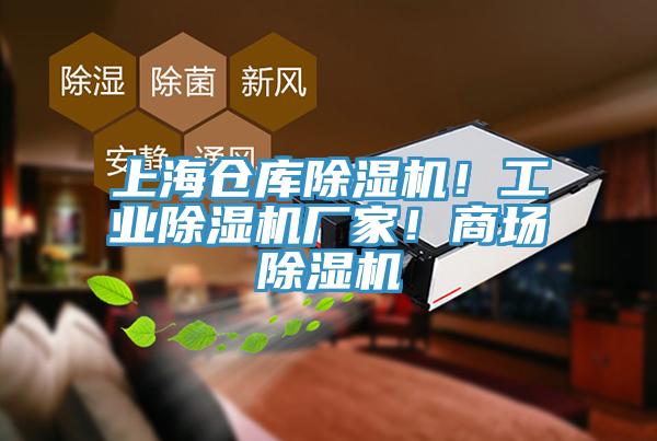 上海倉(cāng)庫(kù)除濕機(jī)！工業(yè)除濕機(jī)廠家！商場(chǎng)除濕機(jī)