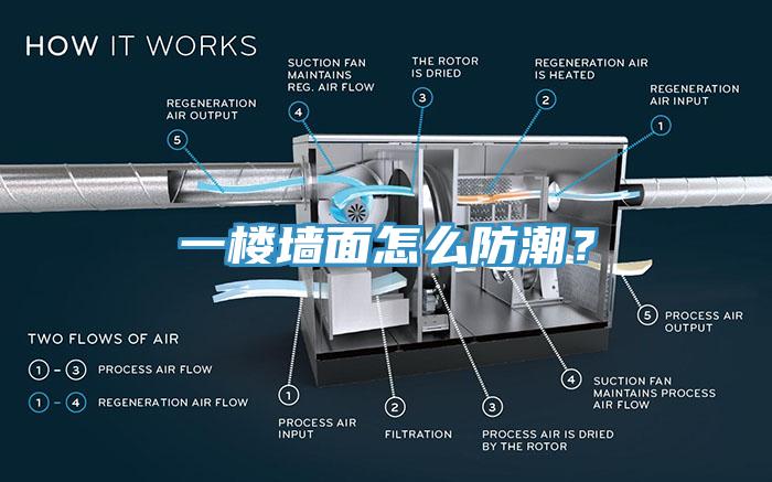 一樓墻面怎么防潮？