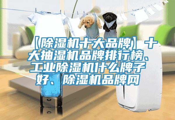 【除濕機(jī)十大品牌】十大抽濕機(jī)品牌排行榜、工業(yè)除濕機(jī)什么牌子好、除濕機(jī)品牌網(wǎng)