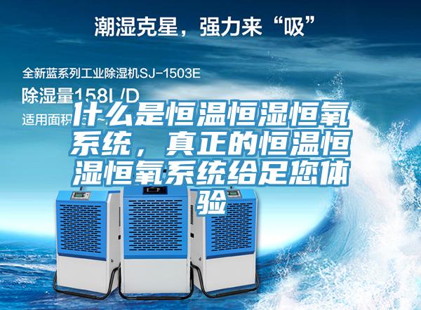 什么是恒溫恒濕恒氧系統(tǒng)，真正的恒溫恒濕恒氧系統(tǒng)給足您體驗(yàn)
