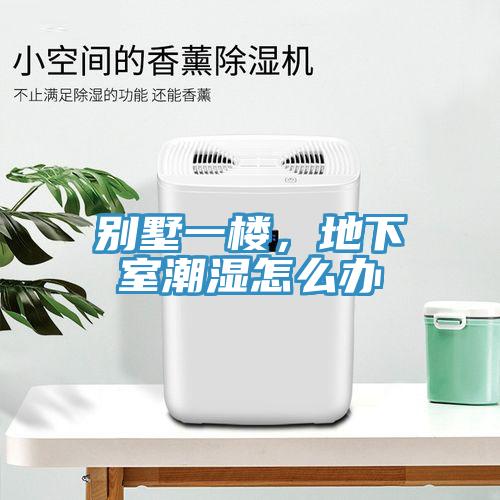 別墅一樓，地下室潮濕怎么辦
