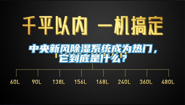 中央新風除濕系統(tǒng)成為熱門，它到底是什么？