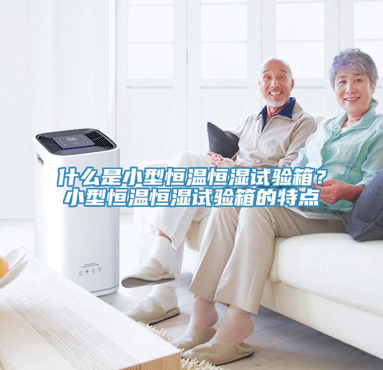 什么是小型恒溫恒濕試驗箱？小型恒溫恒濕試驗箱的特點