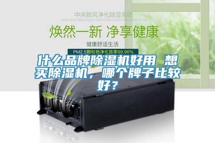 什么品牌除濕機好用 想買除濕機，哪個牌子比較好？