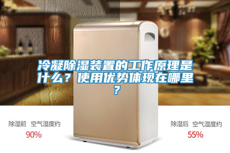 冷凝除濕裝置的工作原理是什么？使用優(yōu)勢體現(xiàn)在哪里？