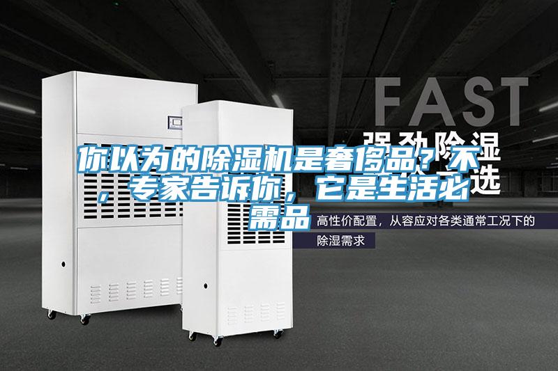 你以為的除濕機是奢侈品？不，專家告訴你，它是生活必需品