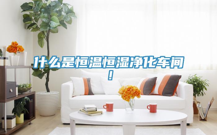 什么是恒溫恒濕凈化車間！