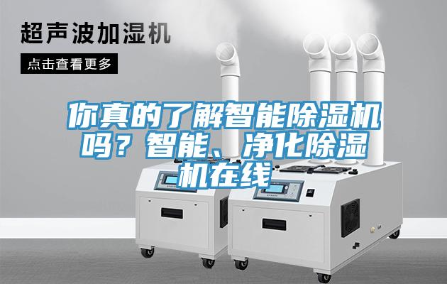 你真的了解智能除濕機嗎？智能、凈化除濕機在線