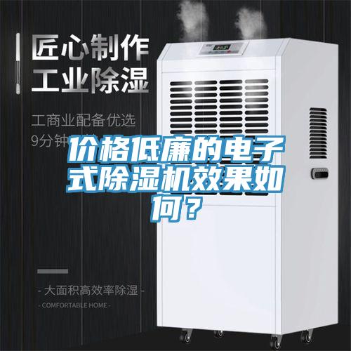 價格低廉的電子式除濕機效果如何？