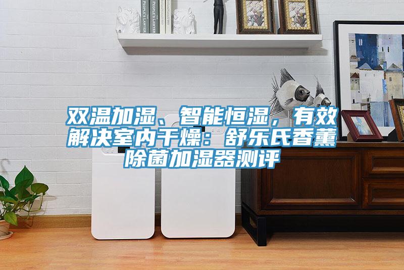雙溫加濕、智能恒濕，有效解決室內干燥：舒樂氏香薰除菌加濕器測評