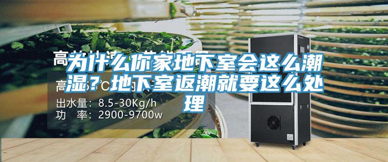 為什么你家地下室會這么潮濕？地下室返潮就要這么處理