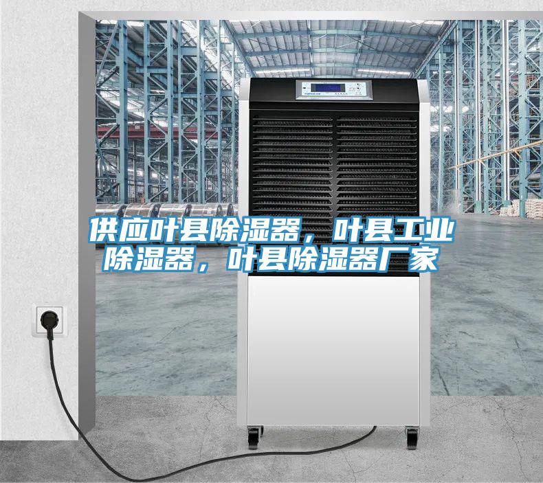 供應(yīng)葉縣除濕器，葉縣工業(yè)除濕器，葉縣除濕器廠家