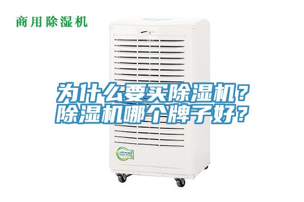 為什么要買除濕機(jī)？除濕機(jī)哪個(gè)牌子好？