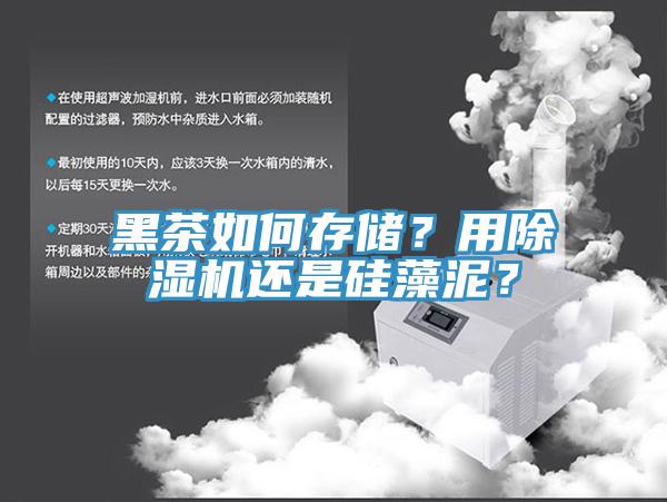 黑茶如何存儲(chǔ)？用除濕機(jī)還是硅藻泥？