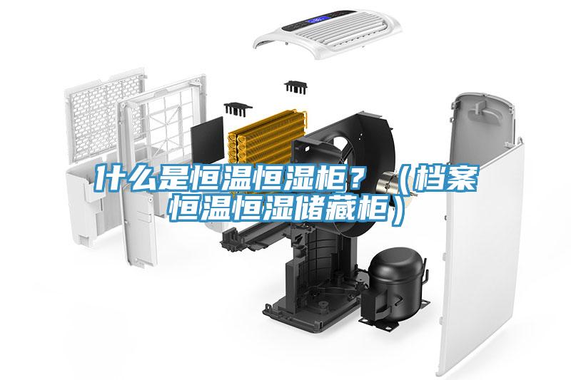 什么是恒溫恒濕柜？（檔案恒溫恒濕儲藏柜）
