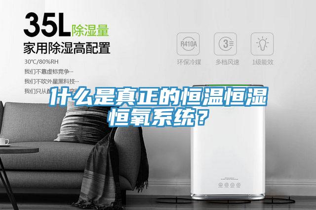 什么是真正的恒溫恒濕恒氧系統(tǒng)？