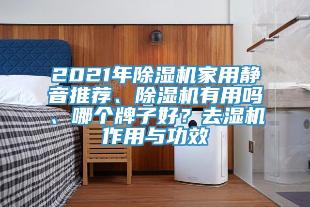 2021年除濕機(jī)家用靜音推薦、除濕機(jī)有用嗎、哪個(gè)牌子好？去濕機(jī)作用與功效