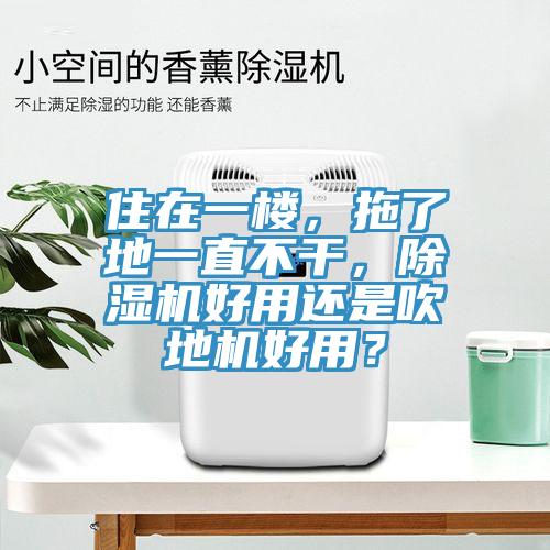 住在一樓，拖了地一直不干，除濕機好用還是吹地機好用？