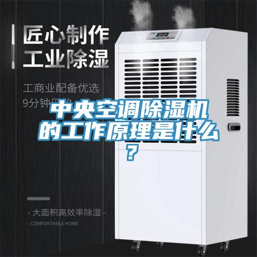 中央空調(diào)除濕機的工作原理是什么？