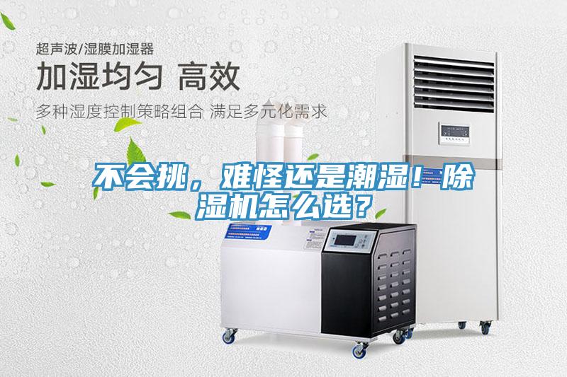 不會(huì)挑，難怪還是潮濕！除濕機(jī)怎么選？