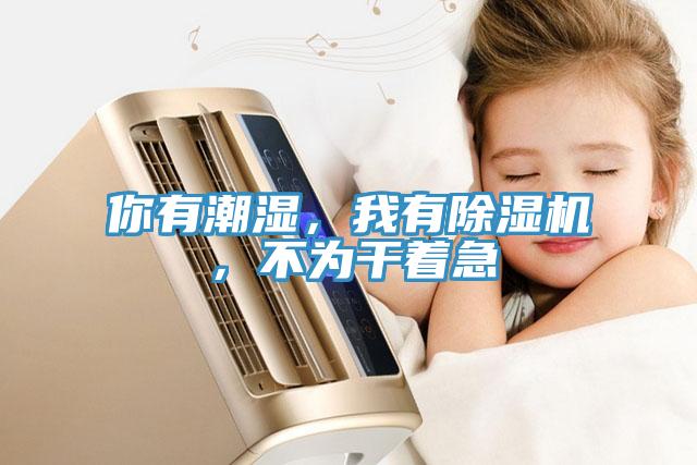 你有潮濕，我有除濕機，不為干著急