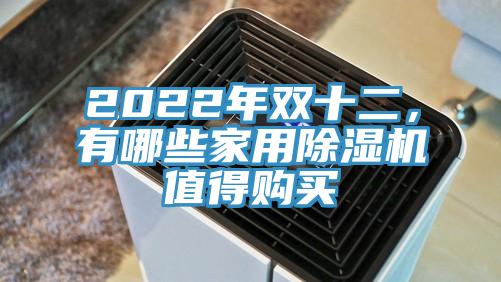 2022年雙十二，有哪些家用除濕機(jī)值得購買