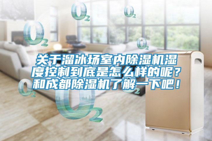 關(guān)于溜冰場室內(nèi)除濕機濕度控制到底是怎么樣的呢？和成都除濕機了解一下吧！