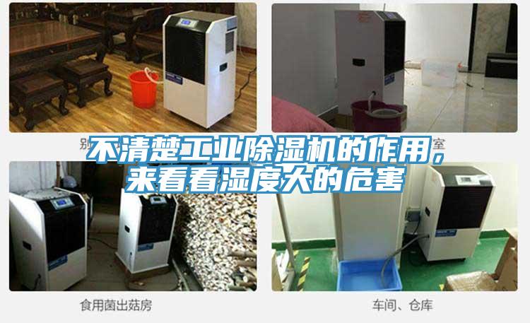 不清楚工業(yè)除濕機(jī)的作用，來看看濕度大的危害