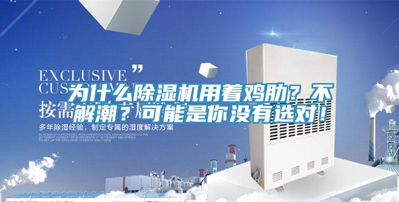 為什么除濕機(jī)用著雞肋？不解潮？可能是你沒有選對(duì)！