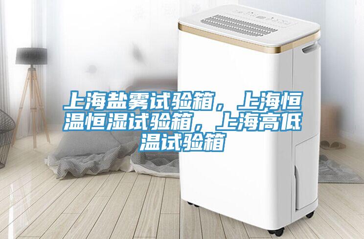 上海鹽霧試驗箱，上海恒溫恒濕試驗箱，上海高低溫試驗箱