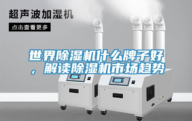 世界除濕機(jī)什么牌子好，解讀除濕機(jī)市場(chǎng)趨勢(shì)