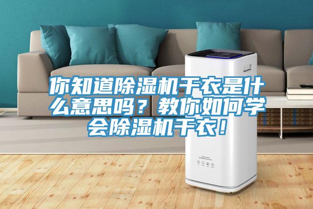 你知道除濕機干衣是什么意思嗎？教你如何學(xué)會除濕機干衣！